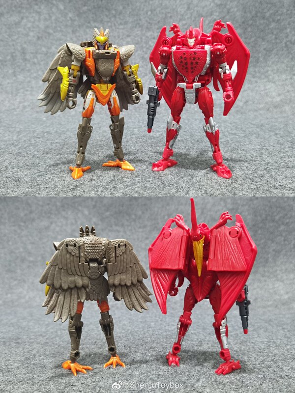 Transformers Golden Disk Collection Terrorsaur In Hand Image  (5 of 9)